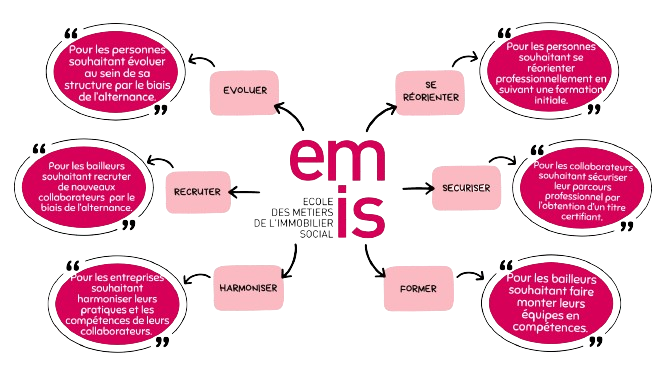 Emis-explication-de-l-EMIS.png Image
